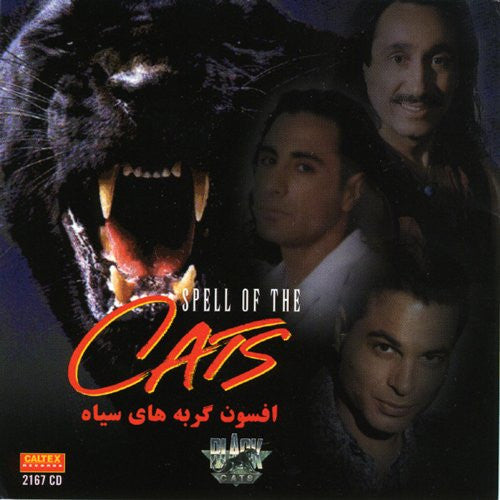 Afsoone Gorbehaye Siah (Spell of The Cats)