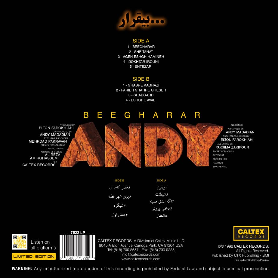 Andy - Beegarar - (Vinyl)