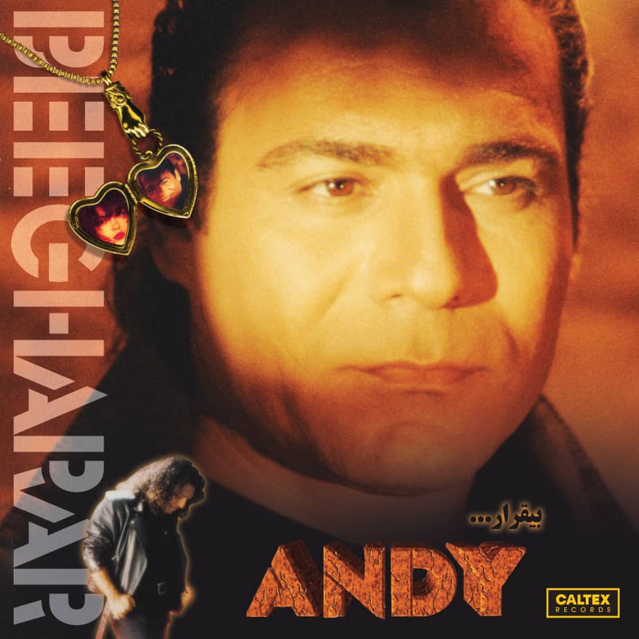 Andy - Beegarar - (Vinyl)