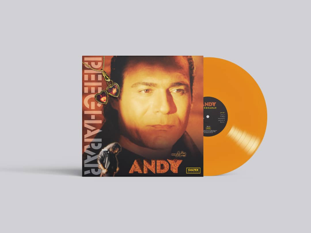 Andy - Beegarar - (Vinyl)