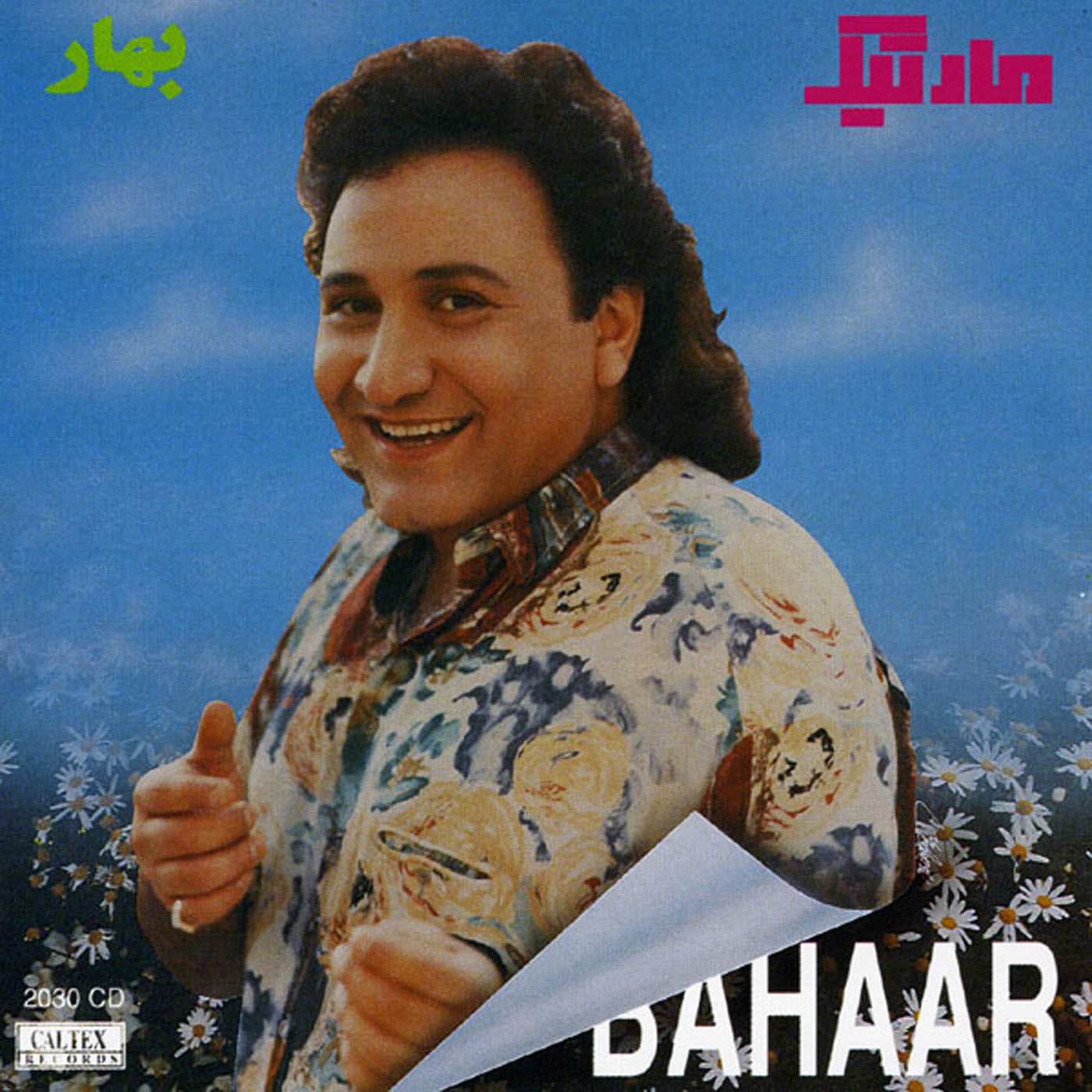 Bahaar