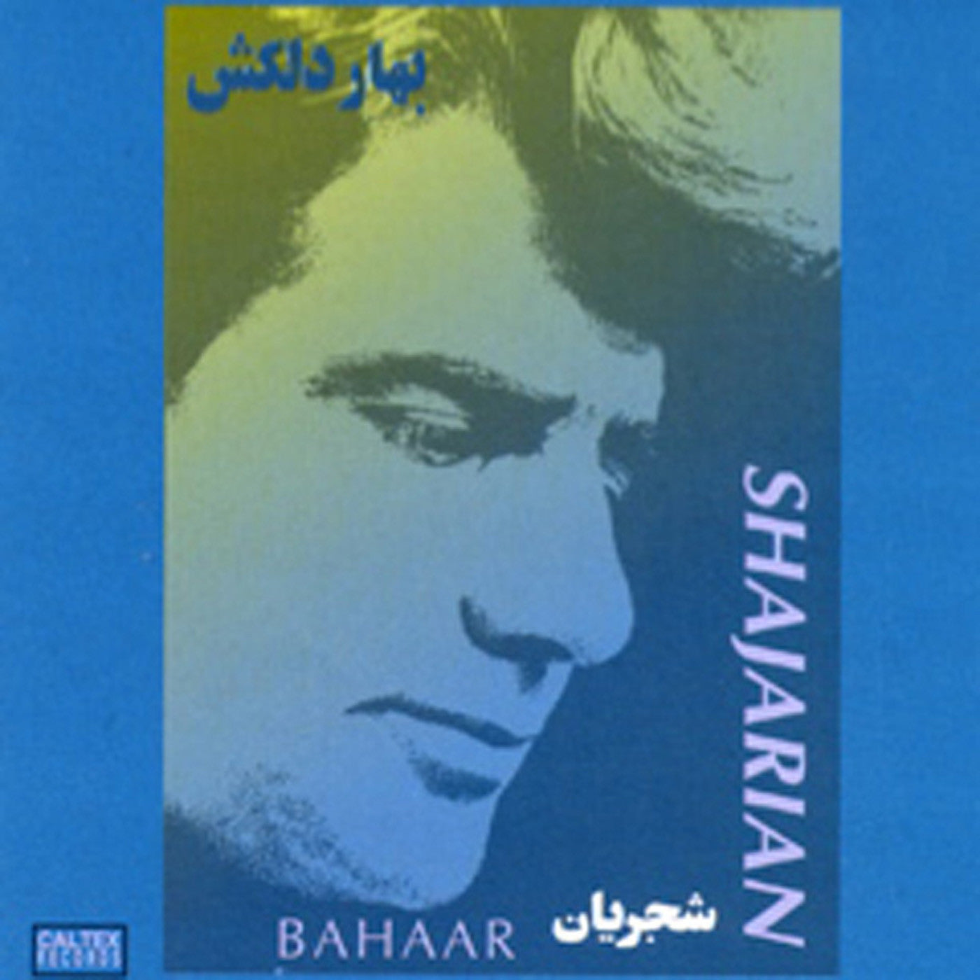Bahaar Delkash