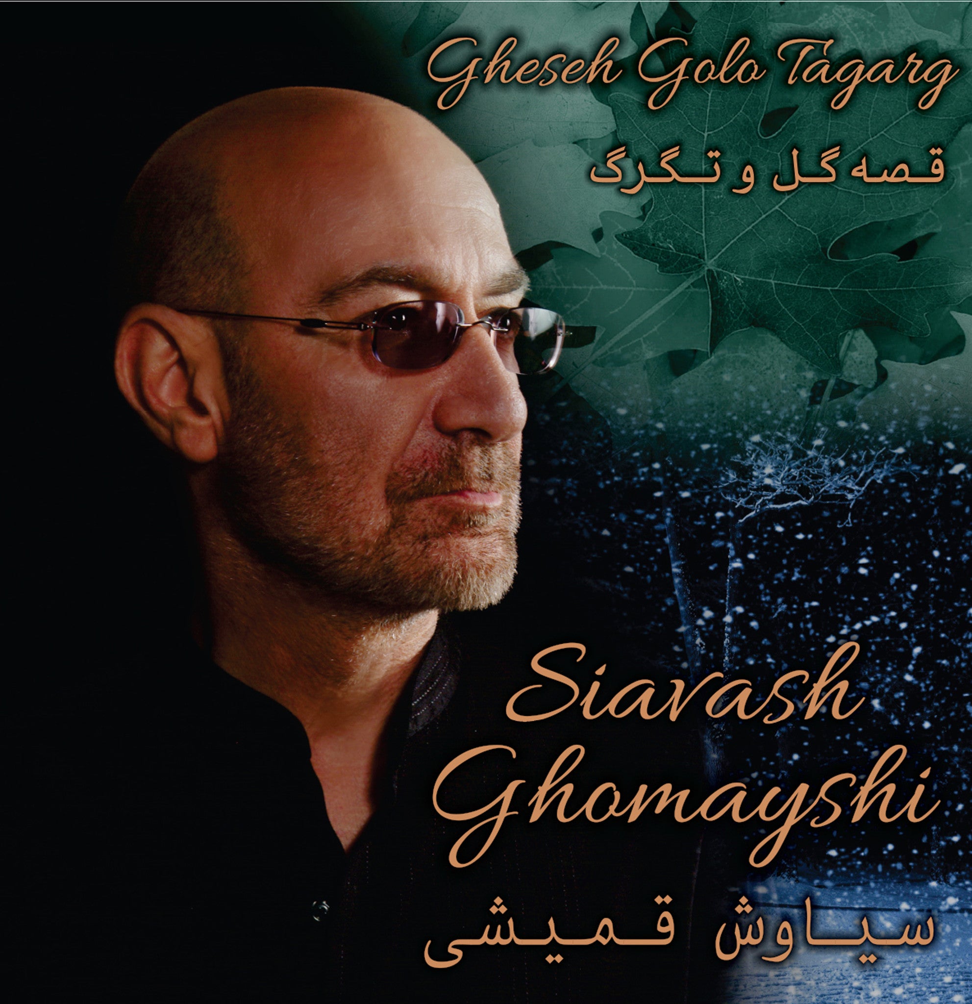 Siavash Ghomayshi - Gheseh Golo Tagarg (Vinyl)